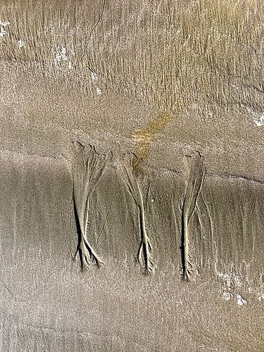 Wet Sand VIII Art Print by Grayscale