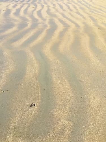 Sand Prints VI Art Print by Grayscale