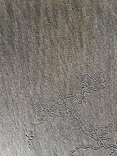 Sand Prints VII Art Print by Grayscale