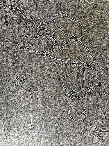 Sand Prints VIII Art Print by Grayscale