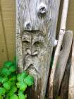 Wooden Face II Art Print