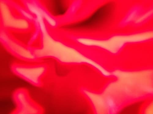 Rose Petal I Art Print by Grayscale