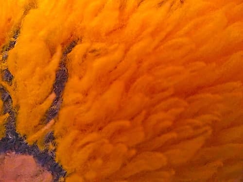 Orange Furry I Art Print by Grayscale