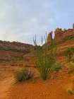 Sedona I Art Print