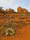 Sedona II Art Print