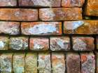 Brick Wall I Art Print