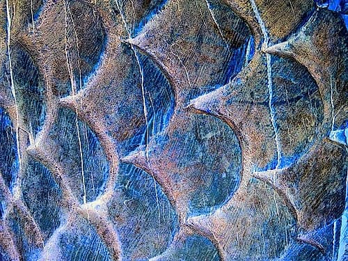 Wooden Scales II Photography Print