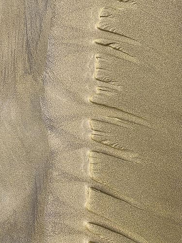 Sand Stripe IV Art Print by Grayscale