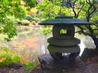 Pagoda Garden IV Art Print