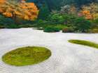 Zen Garden I Art Print
