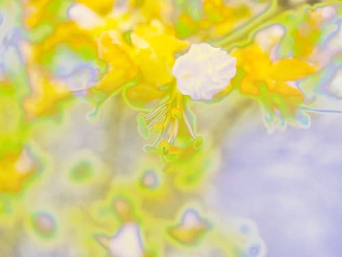Color Blast III Art Print