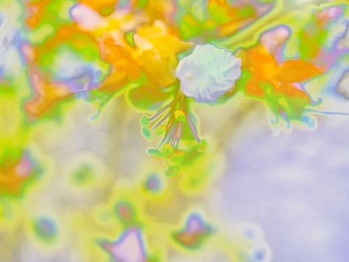 Color Blast IV Art abstrait reproduction