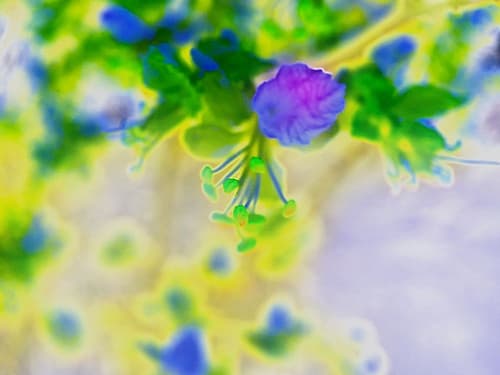 Color Blast VI Art Print