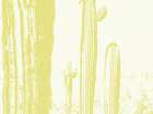Desert Silhouette IV Art Print