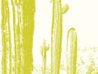 Desert Silhouette V Art Print