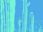Desert Silhouette VII Art Print