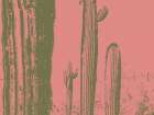 Desert Silhouette VIII Art Print