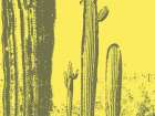 Desert Silhouette X Art Print