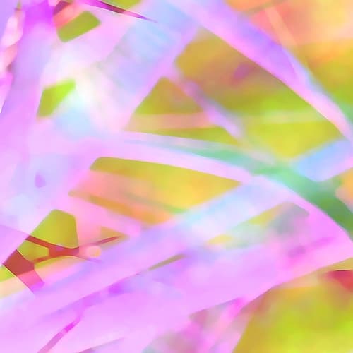 Color Blast XXd Impressionniste reproduction