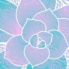 Succulent Stylized Art Print