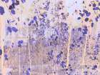 Color Mood-Aspen 4 Art Print