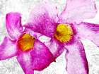 Flora Obscura 1 Art Print