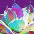 Color Moods: Cactus 1 Art Print