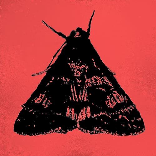 ColorMoods:Moth12 Art Print