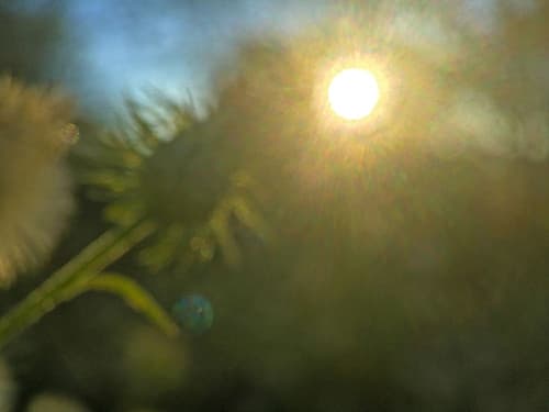Golden Hour I Art Print