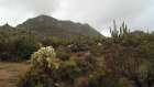 Granite Mountain I Art Print