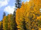 Sunrise Park in Fall 2 Art Print