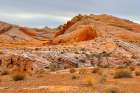 ValleyOfFire:BigHornSheep2 Art Print