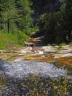 Riparian IV Art Print