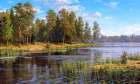 Forest lake Art Print
