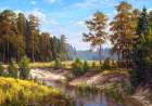 Forest river Art Print