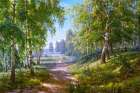 Birch forest Art Print