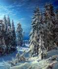 Winter night Art Print