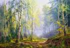 Morning at the birch forest Art Print