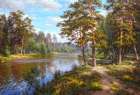 Lake at the forest Art Print