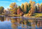 Autumn Art Print