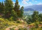 Foothills Art Print