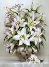 Bouquet of white lilies Art Print