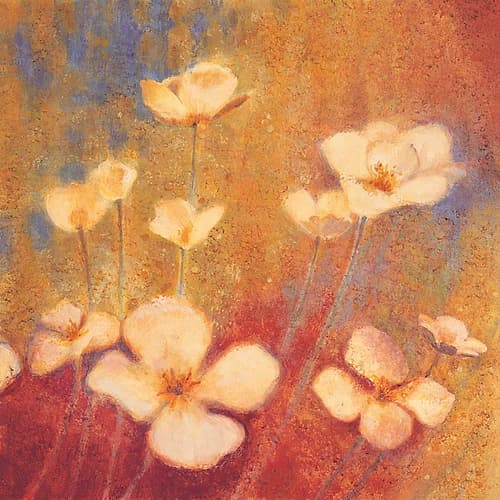 Field of Color II Art Print