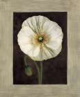 Flora I Art Print