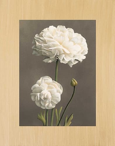 Dalie Art Print