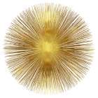 Sunburst I Art Print