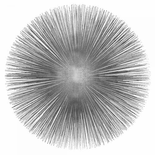 Silver Sunburst I Art Print by Abby Young