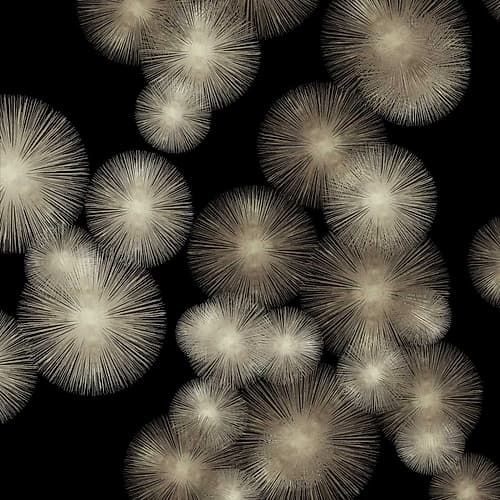 Pewter Sunbursts Art Print