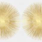 Sunburst Soft Gold II Art Print