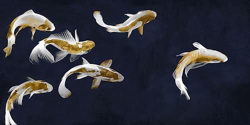 Koi Pond Minimalist Print